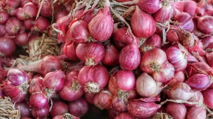 Harga Bawang Merah Masih Tinggi di Pasaran